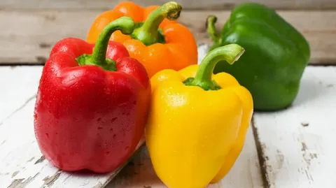 تصویر 2 از راهنمای خرید فلفل دلمه ای شیرین + قیمت عالی